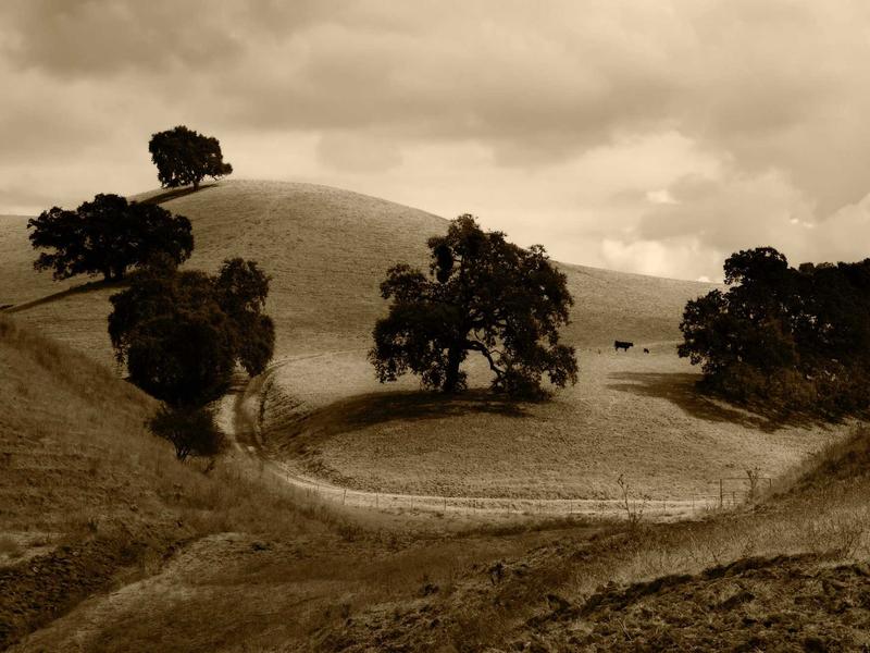 windows screenshot 5